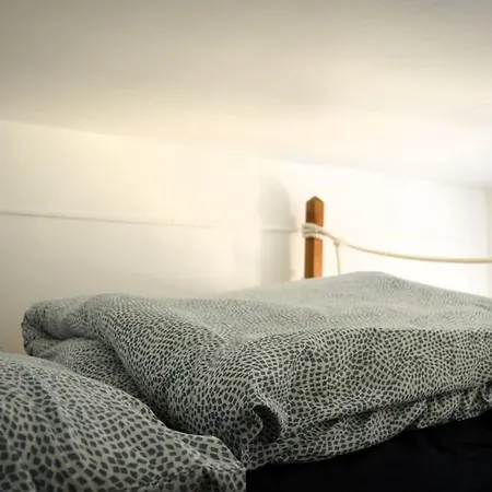 Le Joffre - Sur La Digue En Centre Apartment