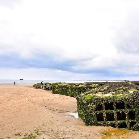 Le Joffre - Sur La Digue En Centre *