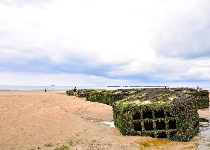 Le Joffre - Sur La Digue En Centre *