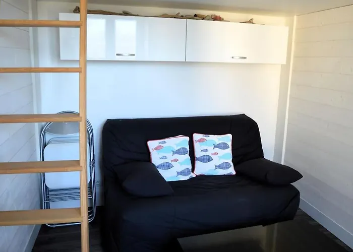 Le Joffre - Sur La Digue En Centre *